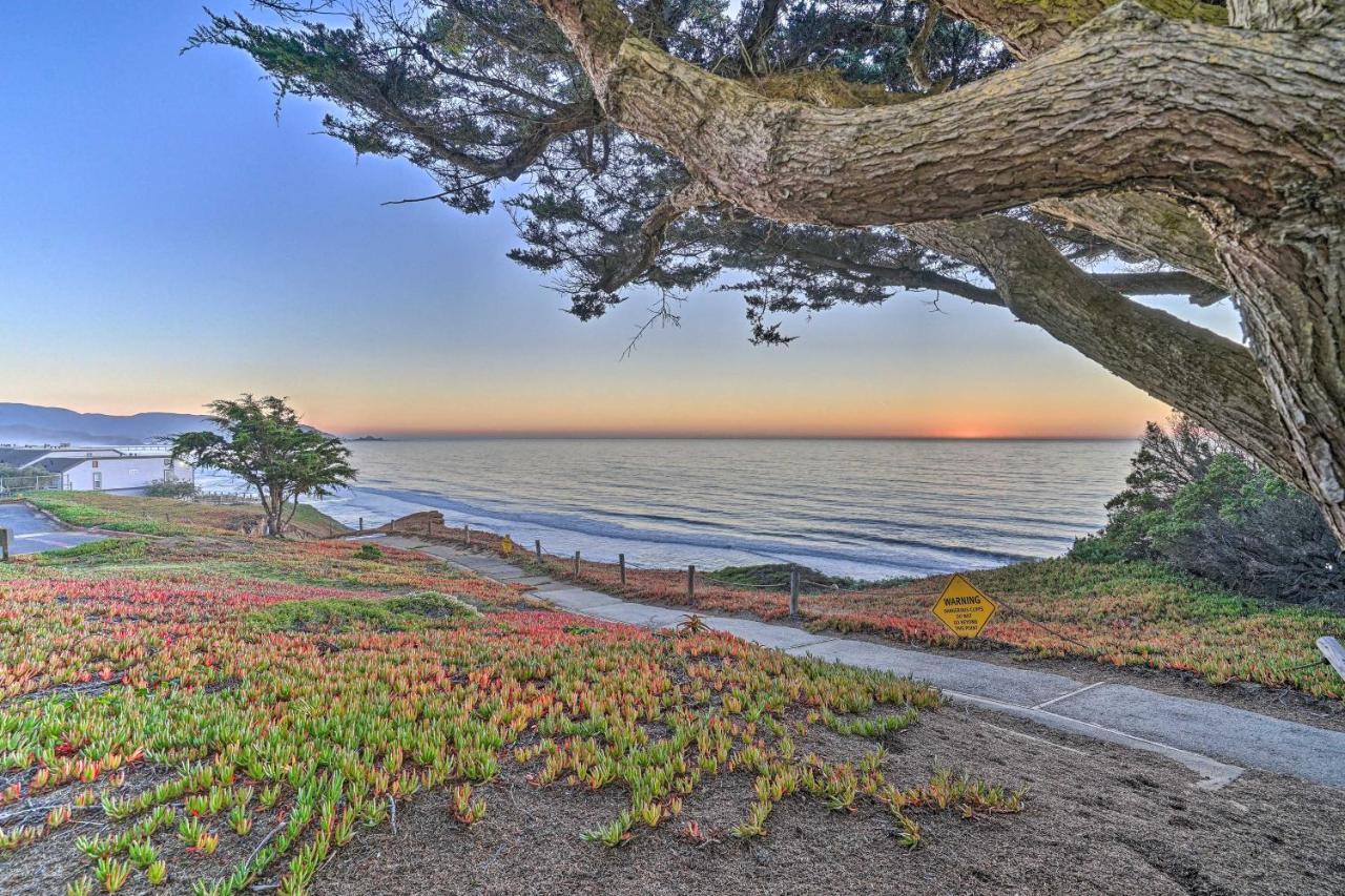 Cliffside Pacifica Hideaway Unbeatable View! Apartment Bagian luar foto