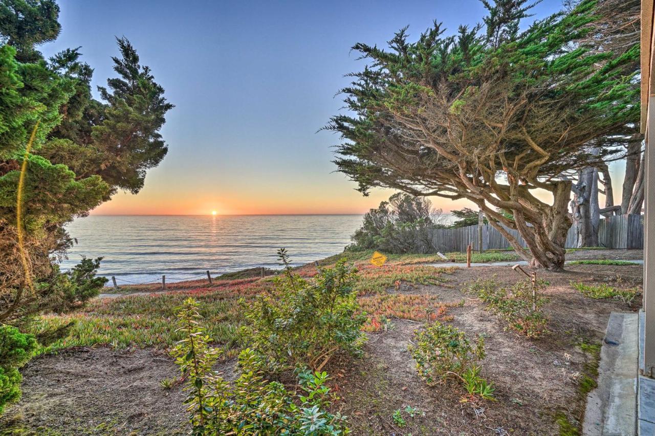 Cliffside Pacifica Hideaway Unbeatable View! Apartment Bagian luar foto